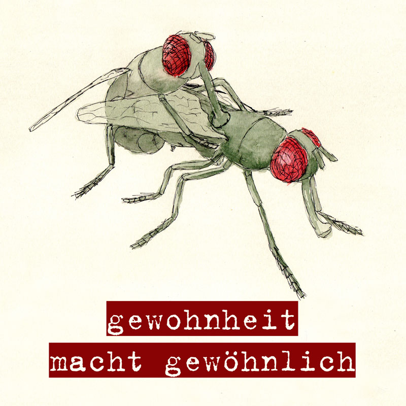 gewohnheit macht gewöhnlich